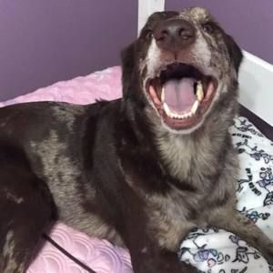 Meet your Posher, Janelle